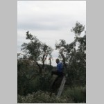 380 ... und fertig ist der Schnitt im amerikanischen Stil!.JPG 380 ... und fertig ist der Schnitt im amerikanischen Stil!.JPG